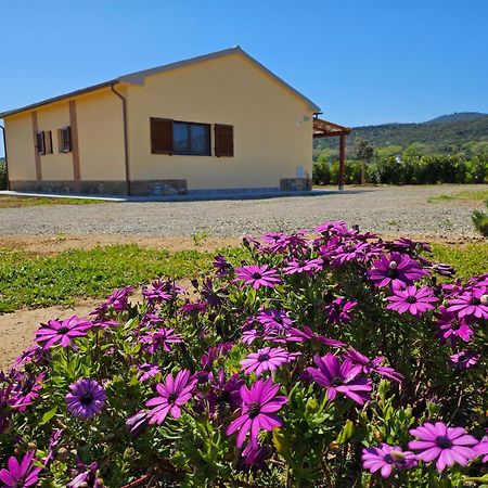 מליאנו אין טוסקנה Agriturismo Fusini מראה חיצוני תמונה