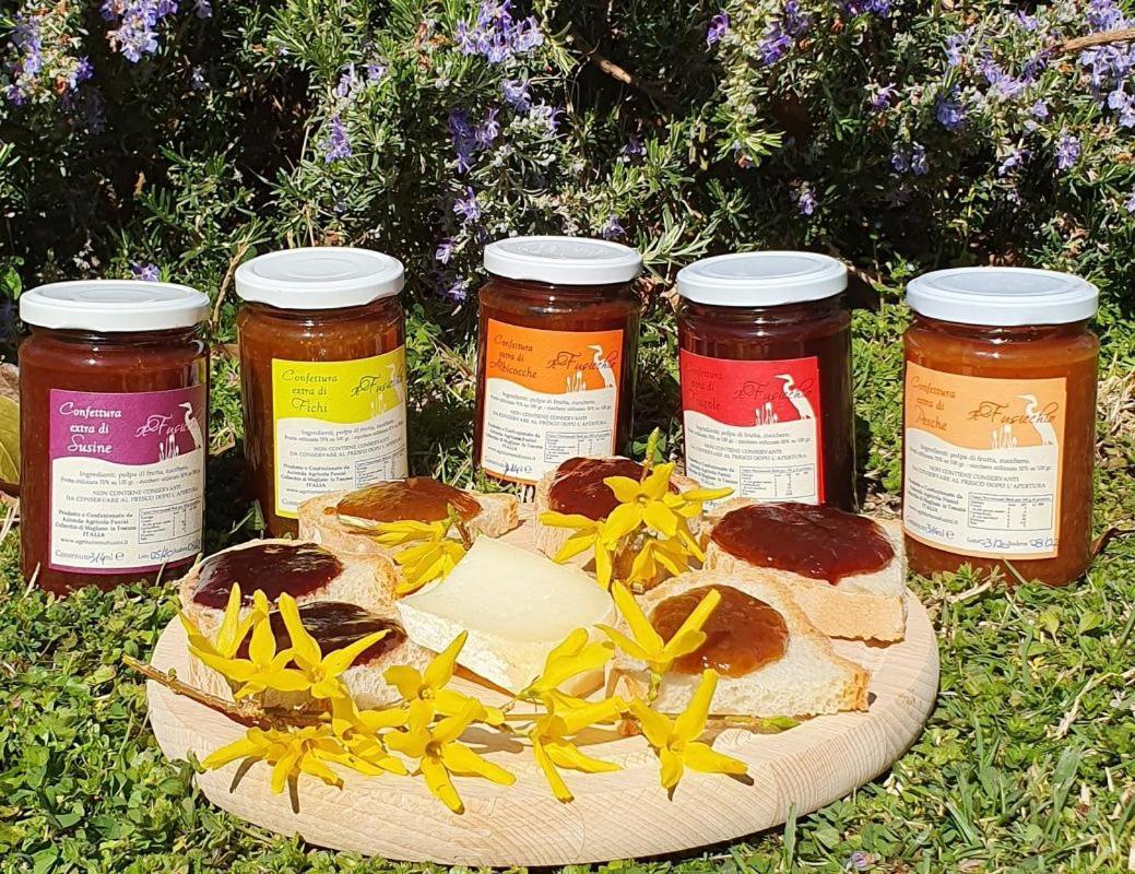 מליאנו אין טוסקנה Agriturismo Fusini מראה חיצוני תמונה