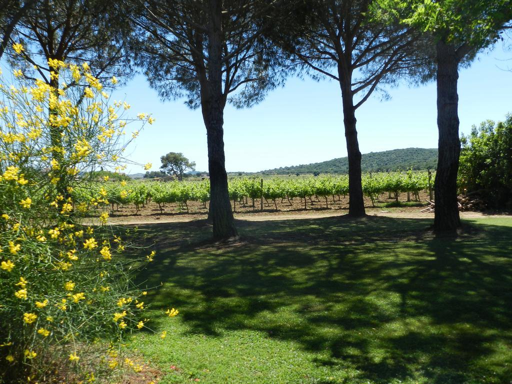 מליאנו אין טוסקנה Agriturismo Fusini מראה חיצוני תמונה