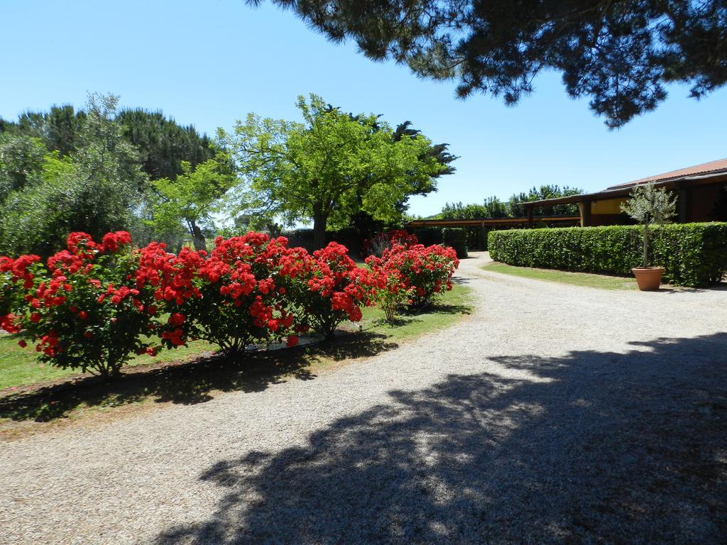 מליאנו אין טוסקנה Agriturismo Fusini מראה חיצוני תמונה