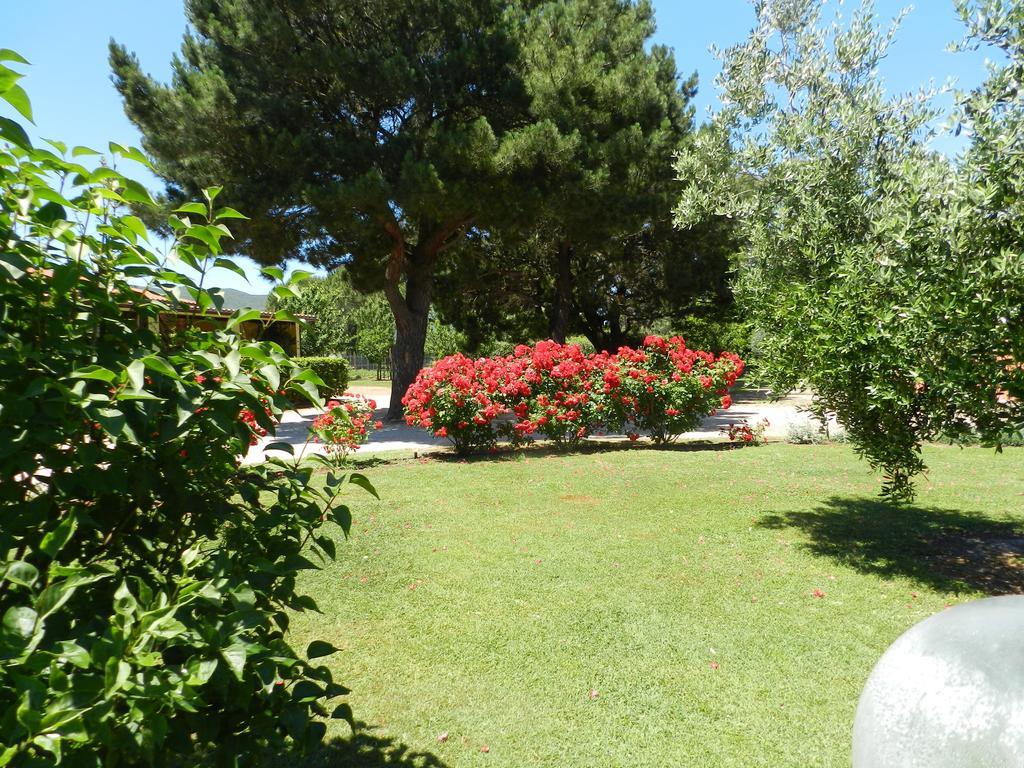 מליאנו אין טוסקנה Agriturismo Fusini מראה חיצוני תמונה