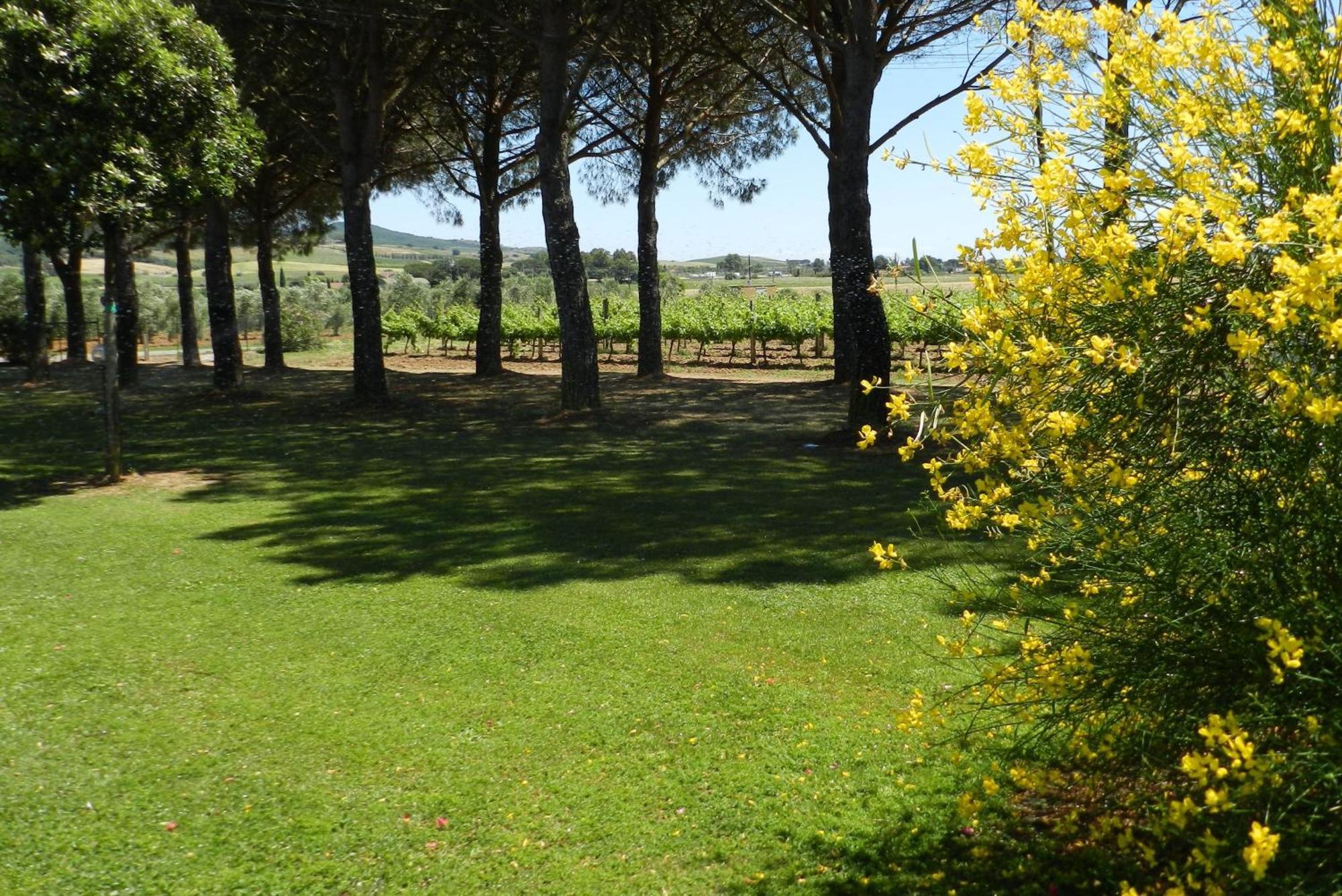 מליאנו אין טוסקנה Agriturismo Fusini מראה חיצוני תמונה