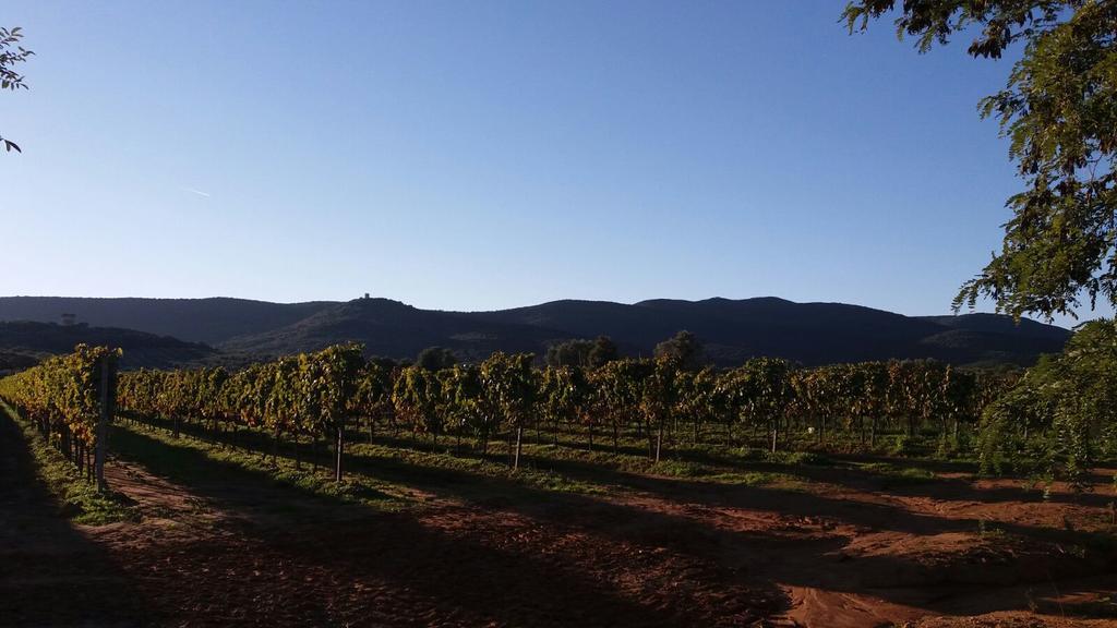 מליאנו אין טוסקנה Agriturismo Fusini מראה חיצוני תמונה