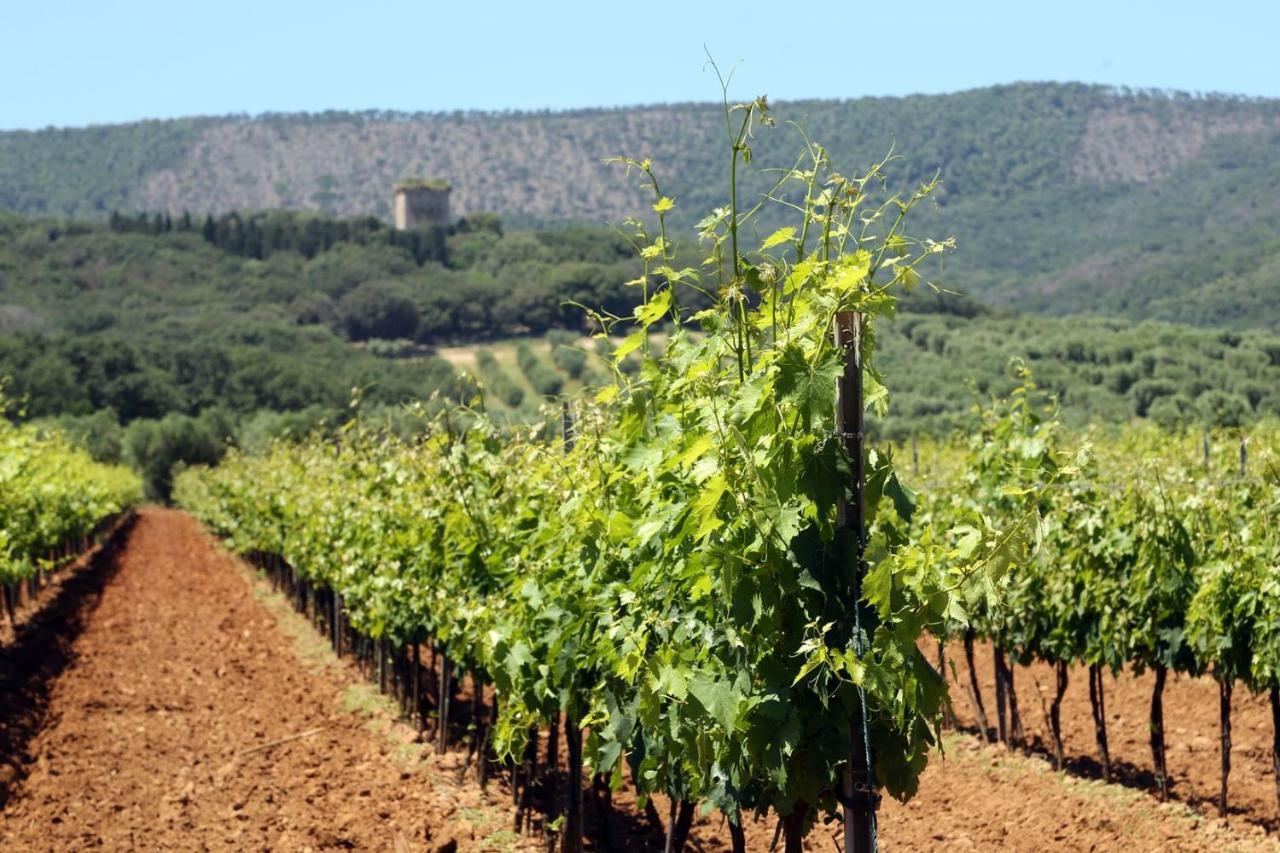 מליאנו אין טוסקנה Agriturismo Fusini מראה חיצוני תמונה