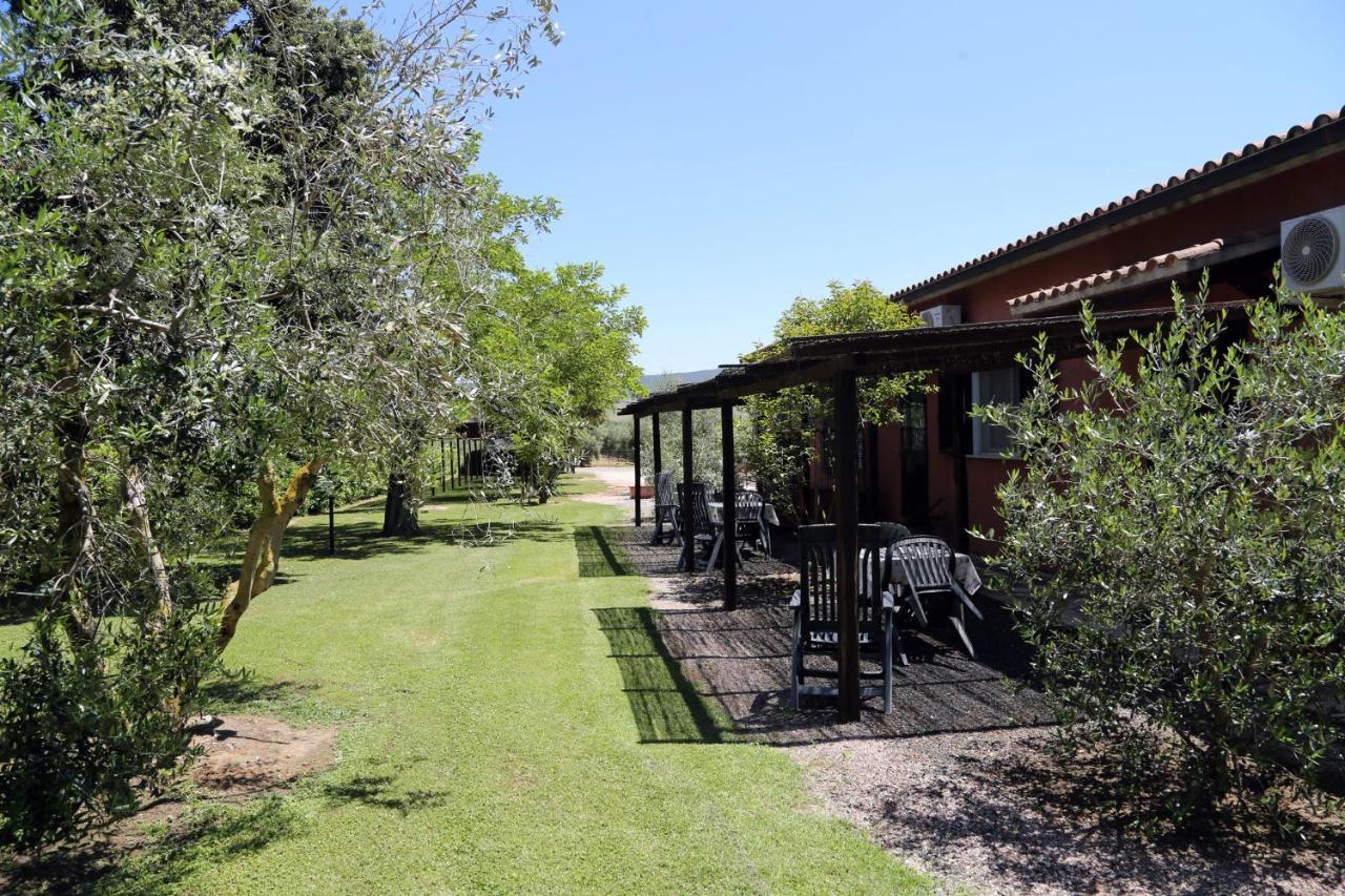 מליאנו אין טוסקנה Agriturismo Fusini מראה חיצוני תמונה